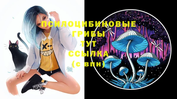 COCAINE Алзамай